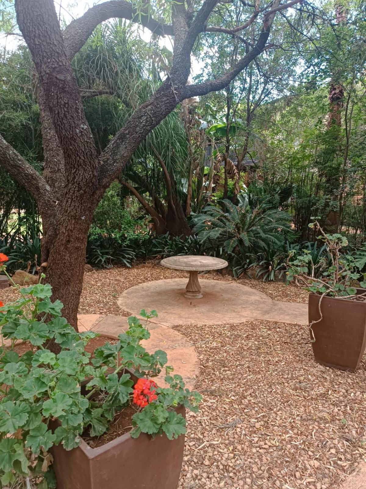 בלה-בלה Gallery Inn מראה חיצוני תמונה